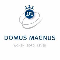 Domus magnus